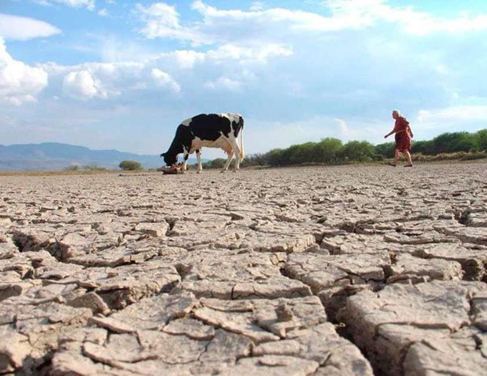 Ocho de nueve departamentos están afectados por la sequía