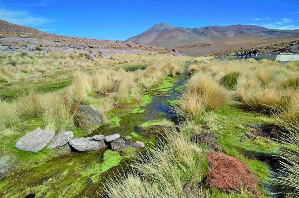 Empresario se enriquece con el agua del Silala y no lo reconoce