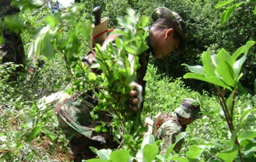 Afirman que la lucha antidroga de Bolivia es más prometedora 