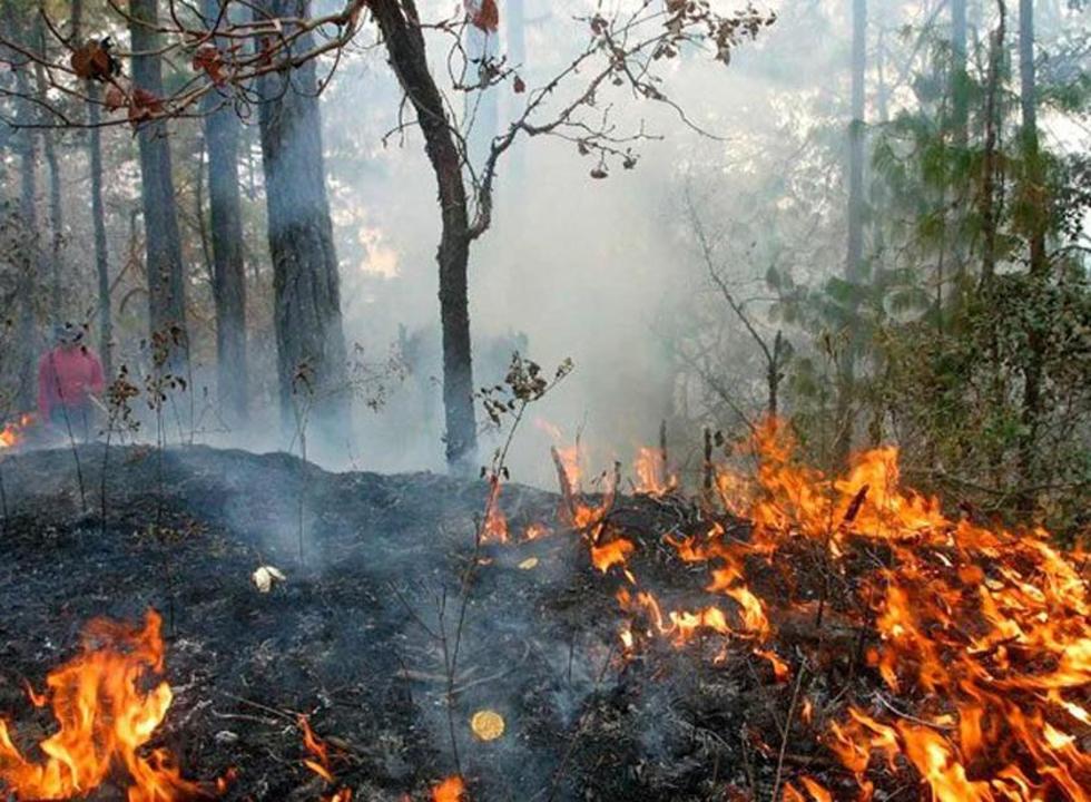 Bolivia registra en 2016 la mayor cifra de focos de calor en 5 años