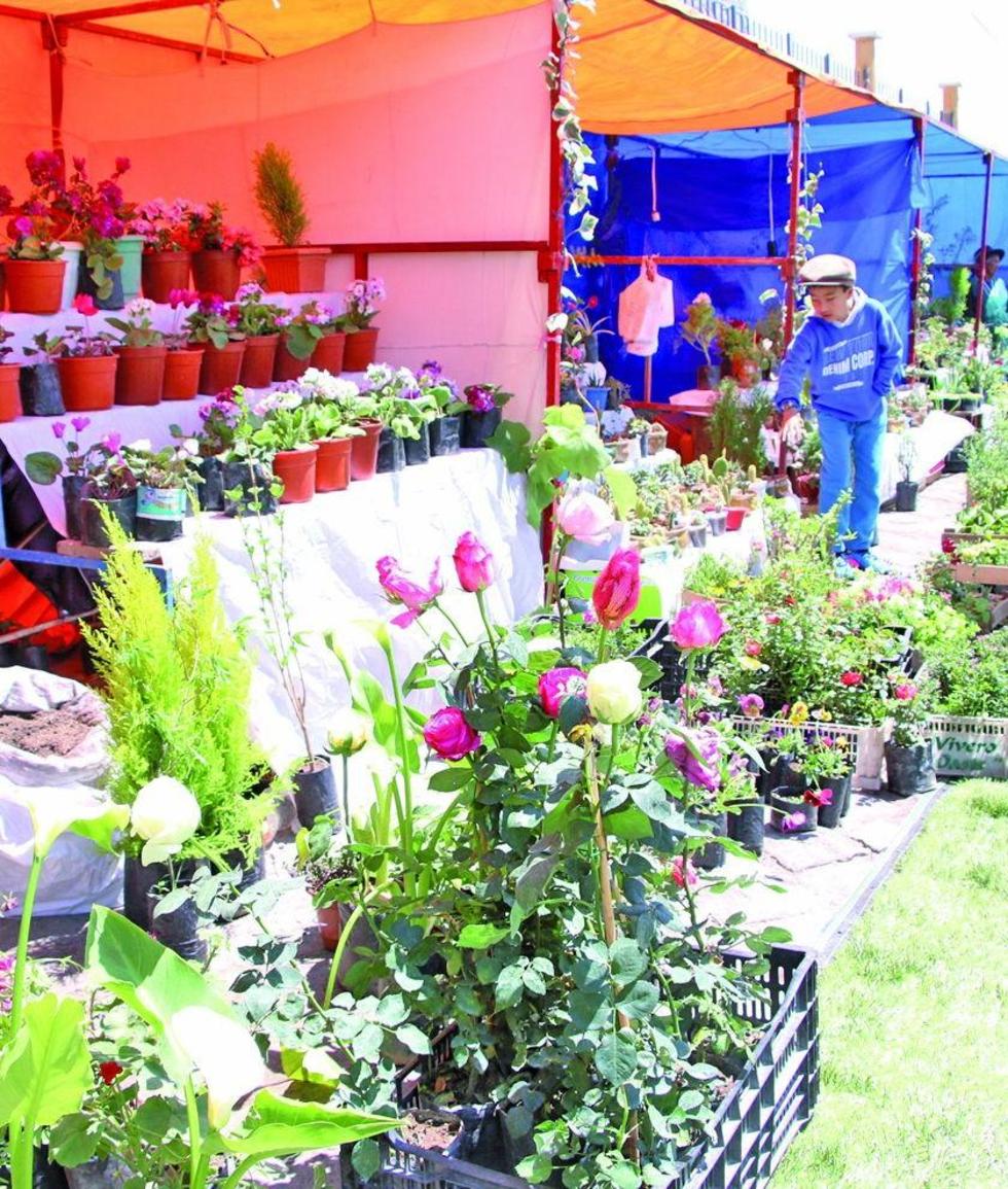 Abre la feria municipal de Flores y Plantas de Altura