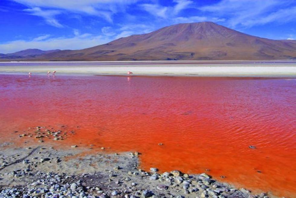 Sernap: la laguna Colorada no se secará y se prevé un proyecto 