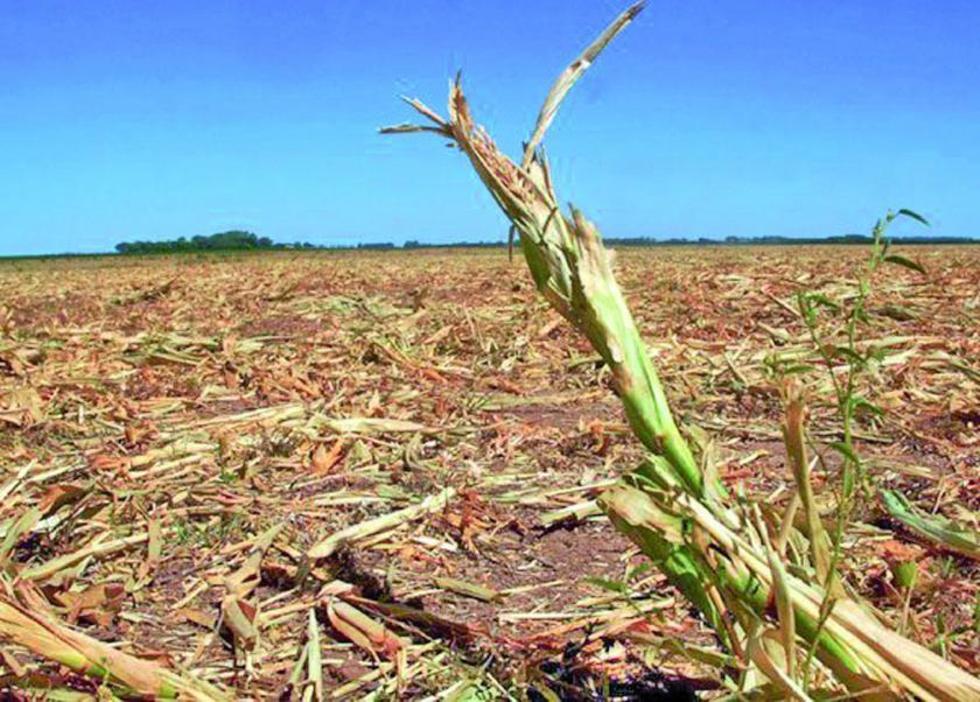 Campesinos acuden a un yatiri para pedir que caiga lluvia 