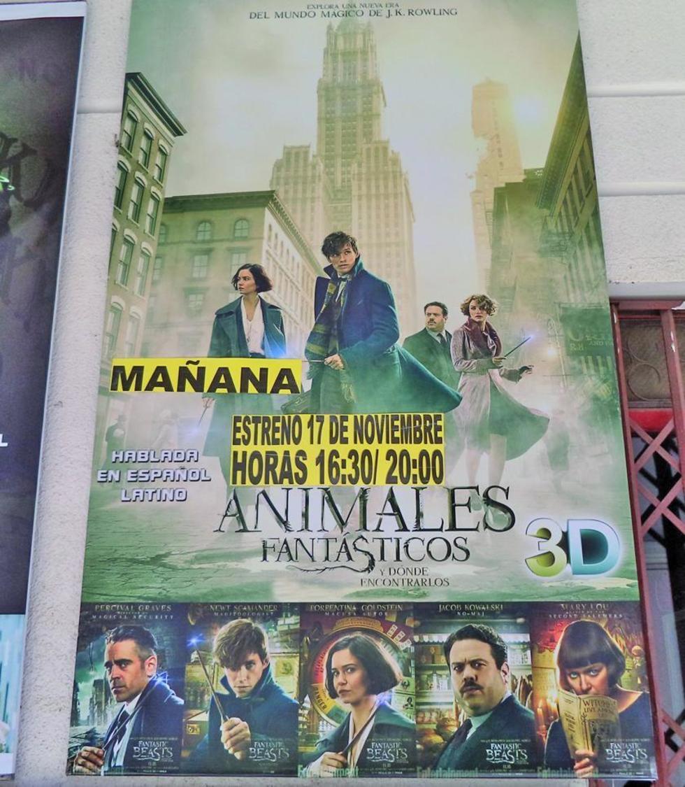 Multi Cine estrena hoy el filme Animales Fantásticos