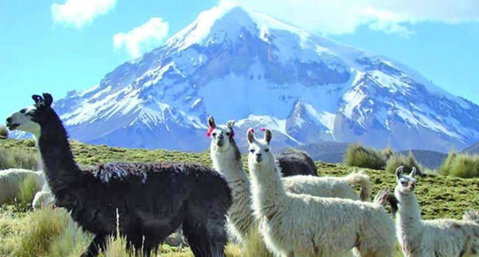 La Alcaldía de Oruro firmará convenio con Boltur y crear agencia de turismo