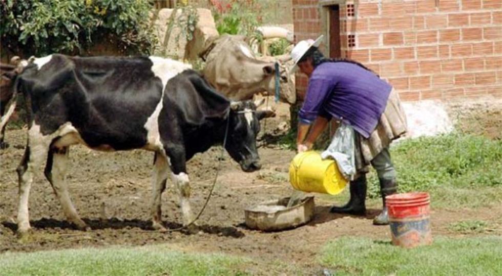 Lecheros empiezan a desertar por sequía y bajos precios