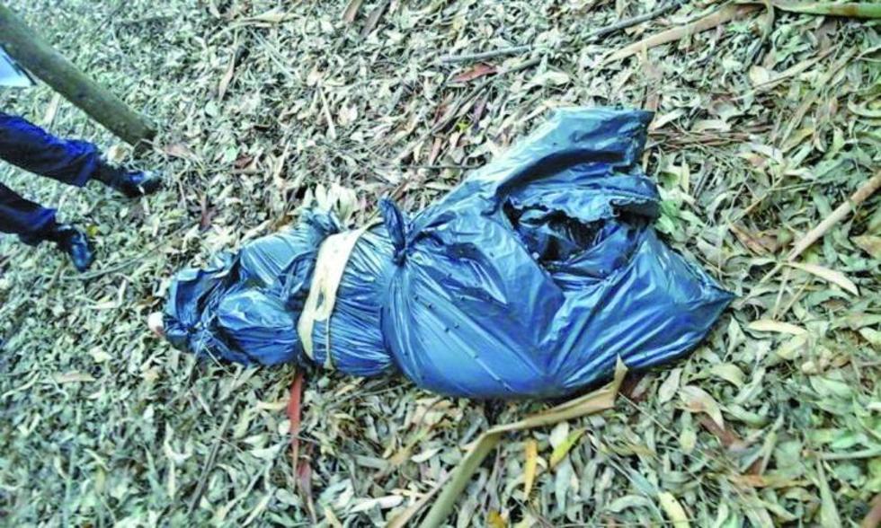 Hallan cadáver de una niña que  era devorada por los animales