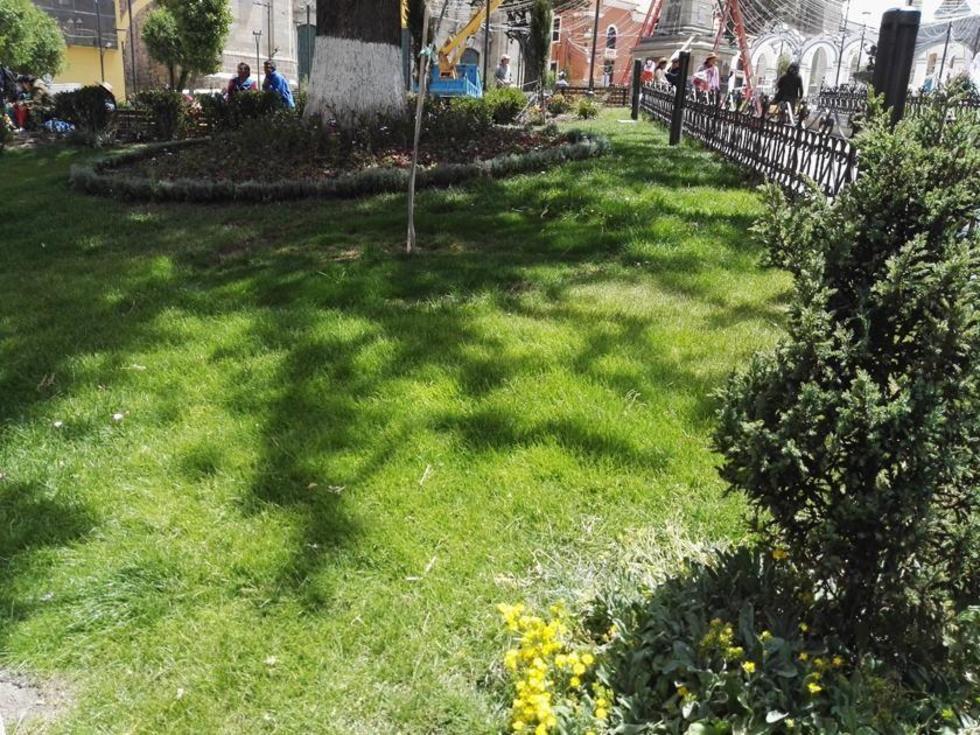 Proponen un plan de reforestación en  el municipio de Potosí