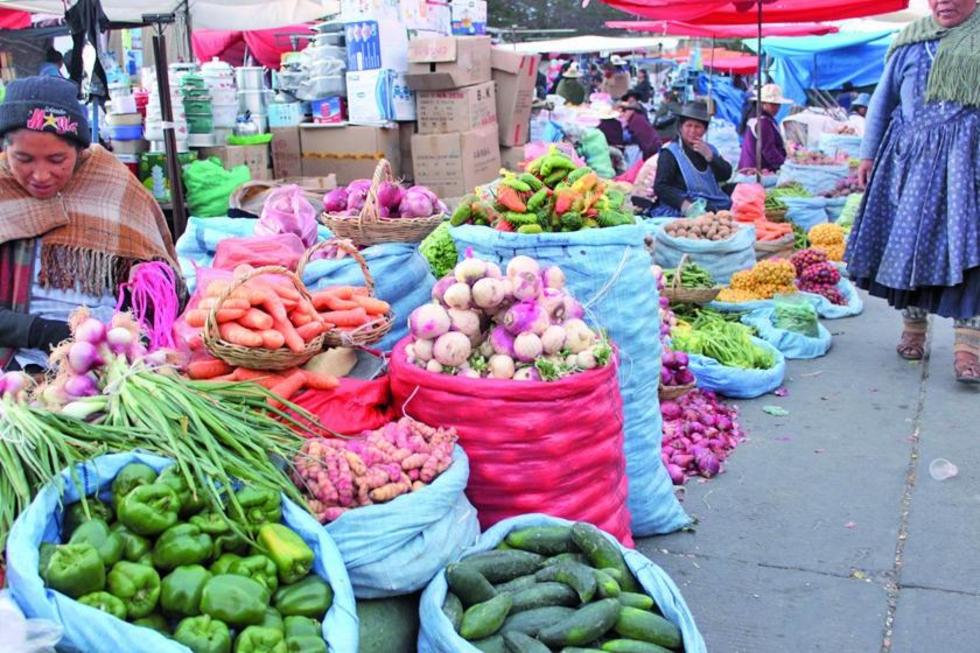 Dirigentes de la Fedjuve exigen más control en mercados de la zona baja