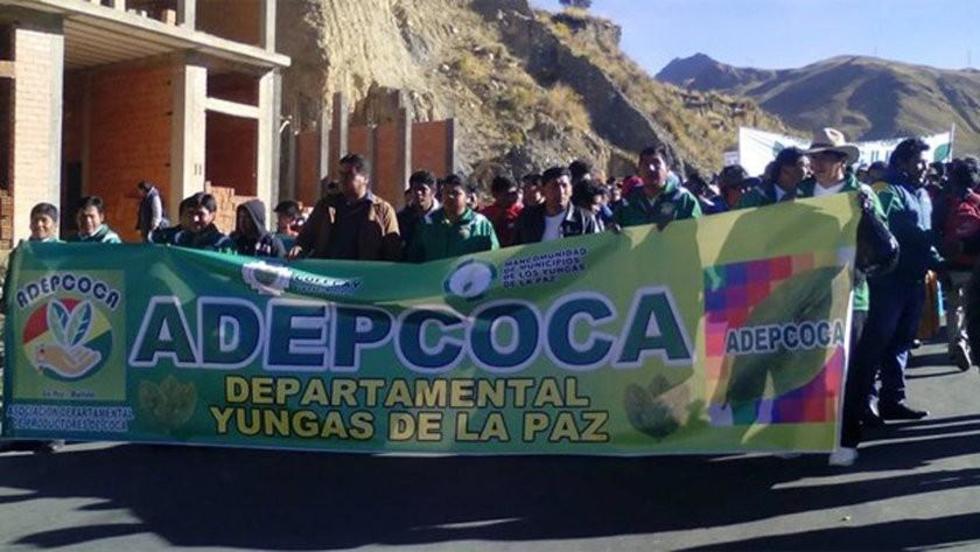 Adepcoca rechaza reunirse con Cocarico por Ley de Coca