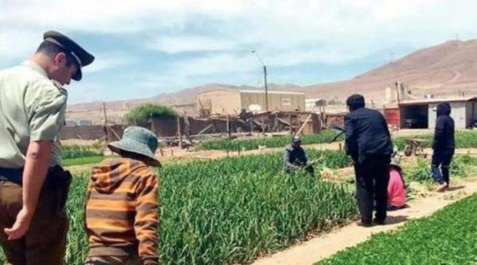 Descubren explotación de tres menores bolivianos en Chile