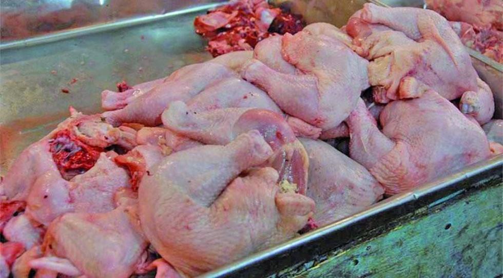 Evitan ingreso de productos avícolas en frontera con Chile