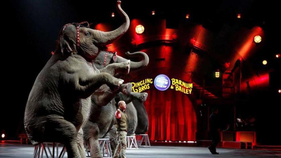 El Circo Ringling  cierra sus puerta 