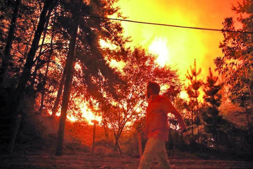 Aumentan a 10 los fallecidos en los incendios forestales en Chile