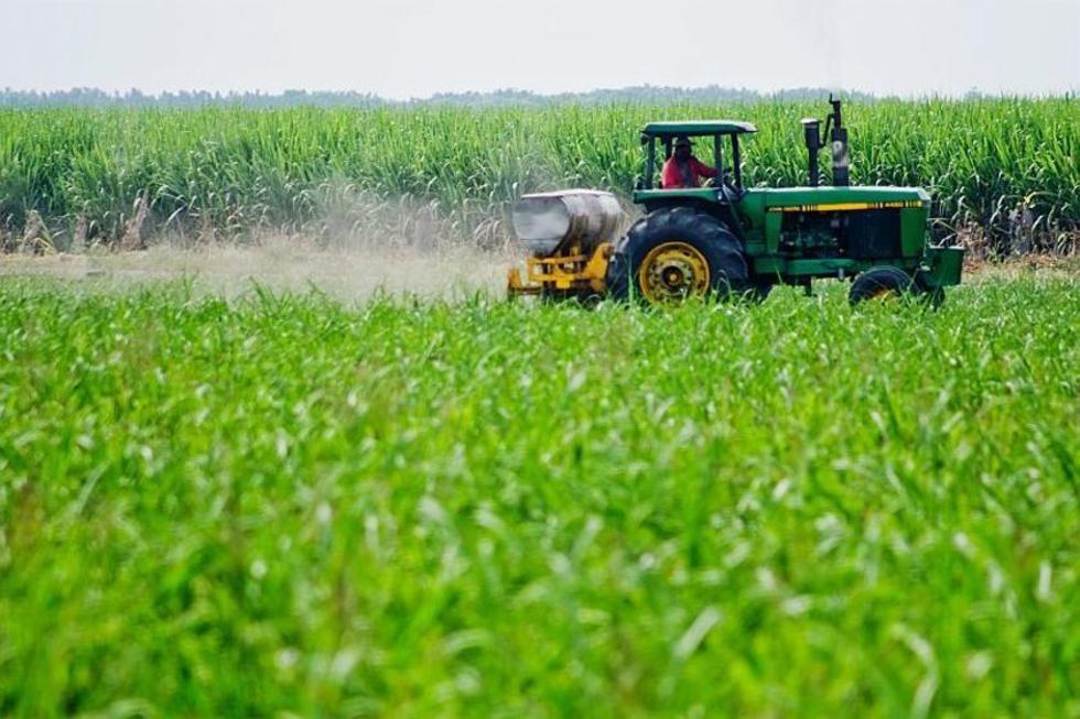 Gobierno: Dentro de 15 días operará el fondo agropecuario