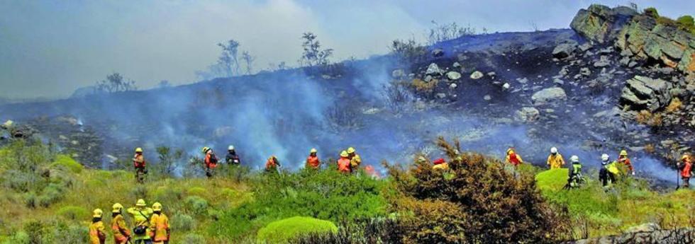 Más de 18.000 efectivos combaten en Chile 131 incendios forestales