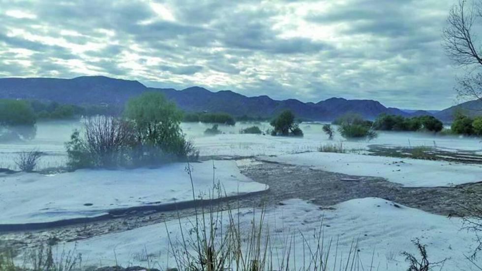Una nevada destruye diferentes cultivos en el municipio de Tupiza