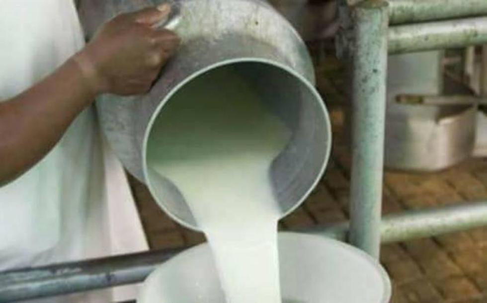 Fijan nuevo precio de venta  del litro de la leche cruda
