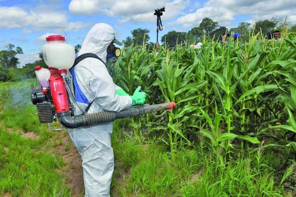 Gobierno informa que no proveerá de químicos a todos los agricultores