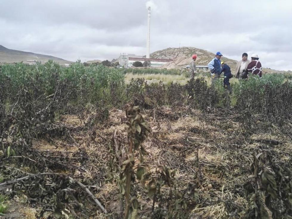 Empiezan a quitar área que dañó el agua contaminada