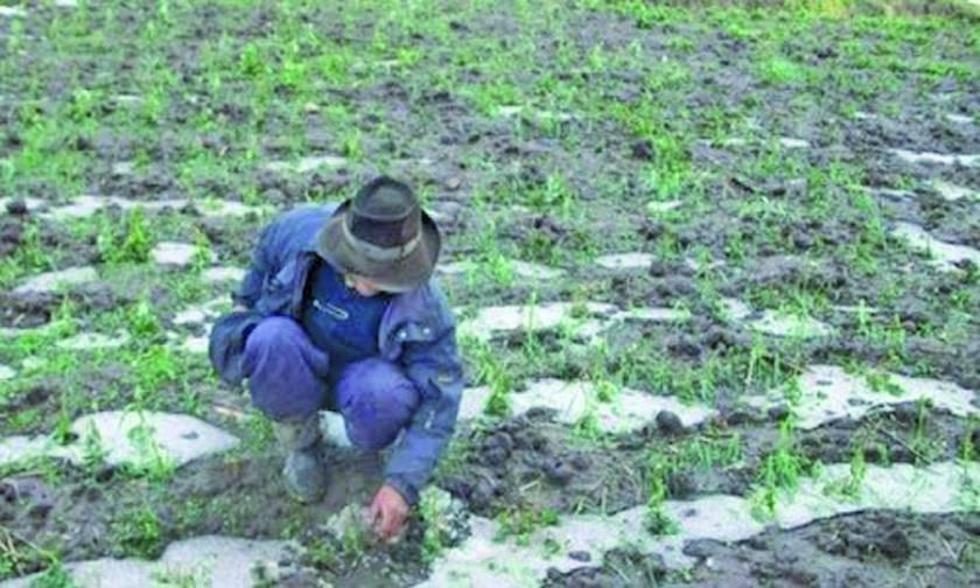 Más de 300 comunidades son afectadas por fenómenos
