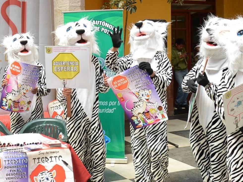 Los Tigritos reforzarán la prevención 