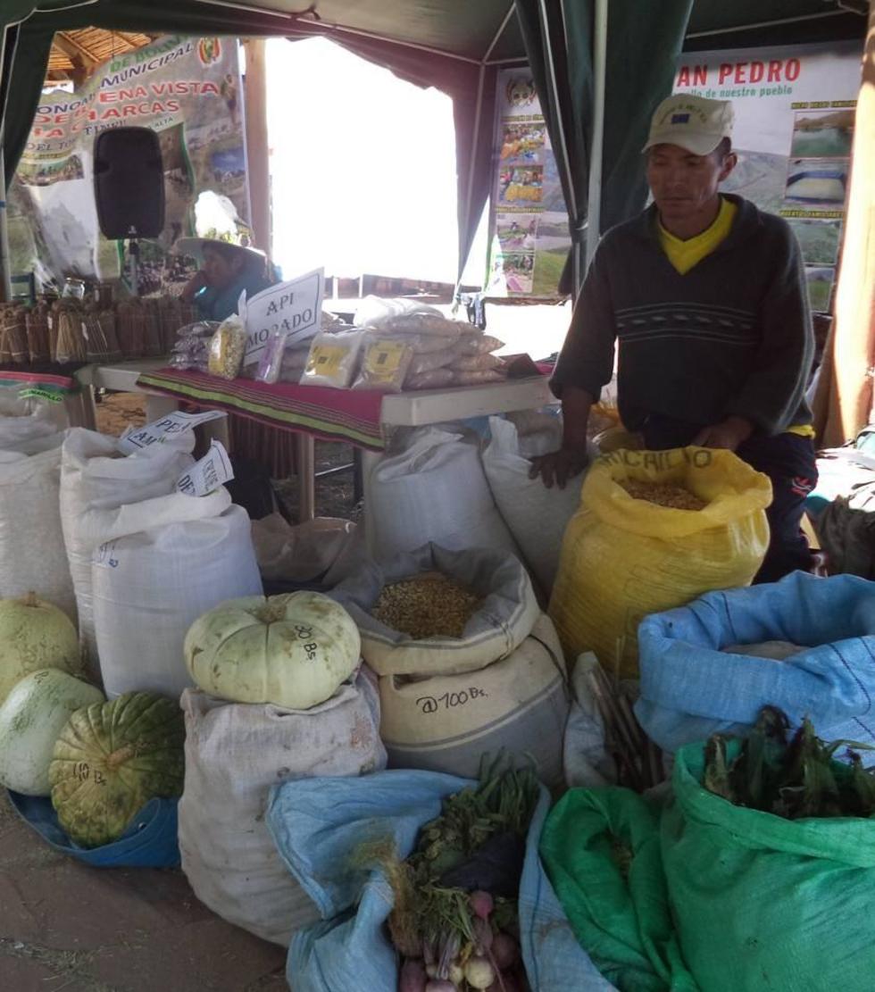 Suspenden la séptima feria productiva agropecuaria