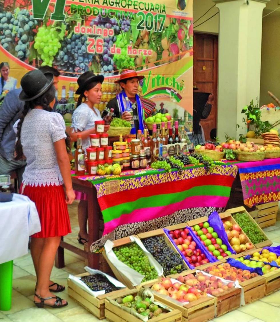 Vitichi y Cayara tienen el  domingo feria productiva
