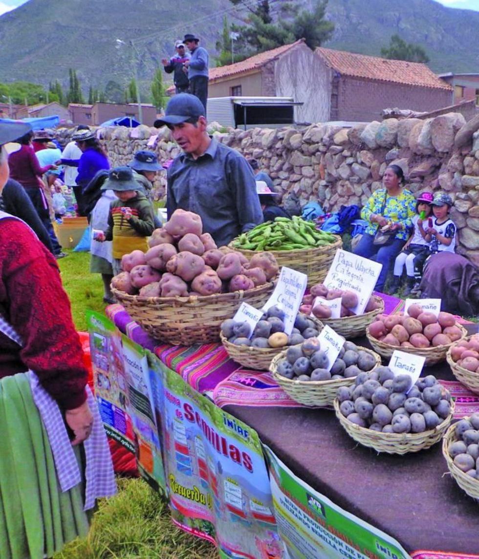 Con gastronomía y museo se cumple feria de Cayara