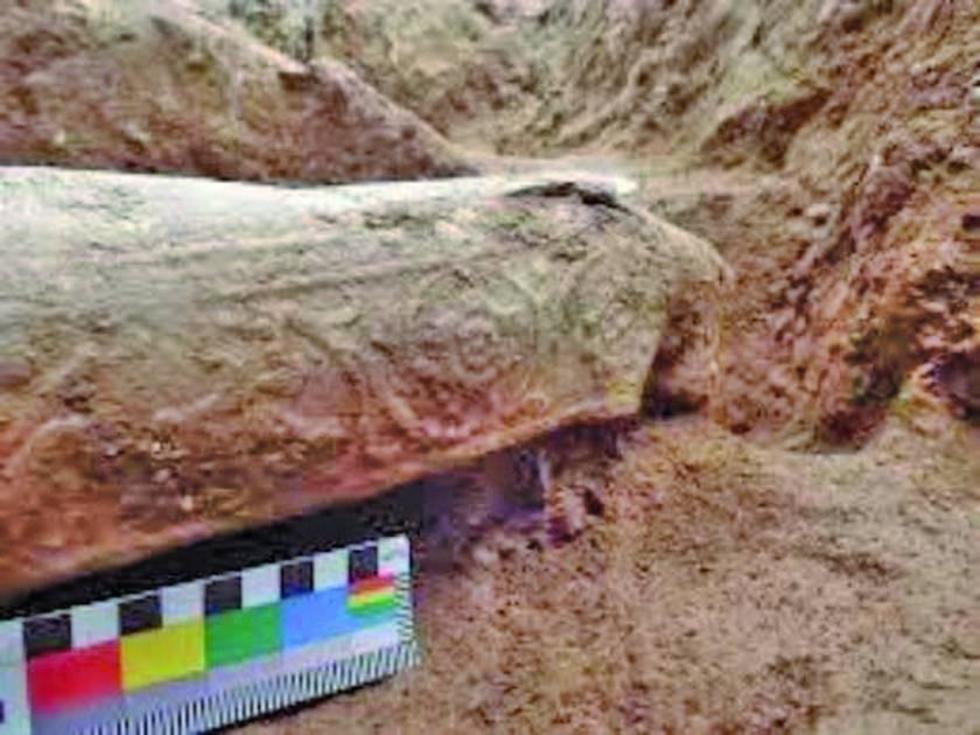 Hallan en Suiza un sarcófago romano