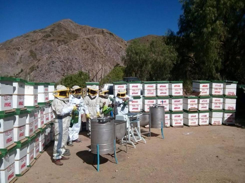 El BM aprueba $us 100 millones adicionales para proyectos rurales
