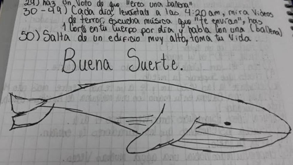 Policía indaga si hay operadores de la ‘‘Ballena Azul’’ en Bolivia