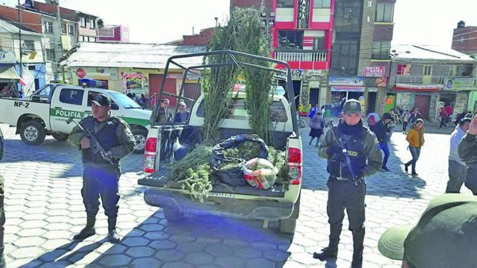 Felcn incauta marihuana y cocaína en el norte potosino
