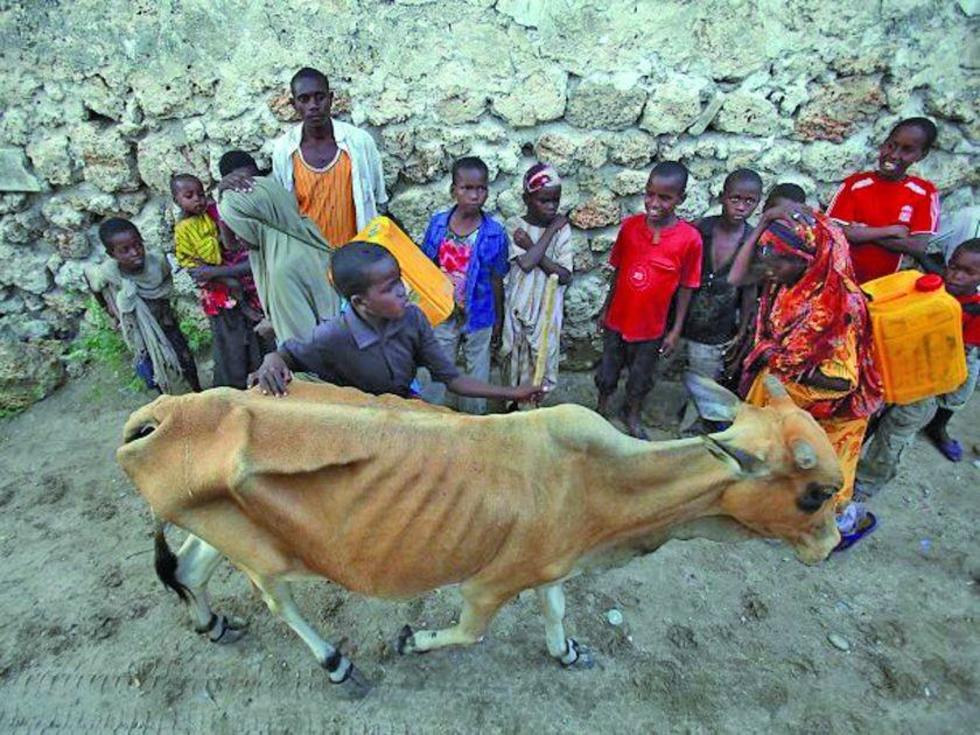 Unicef prevé aumento de niños malnutridos en Somalia en 2017