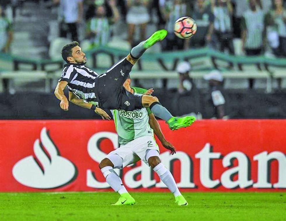 Botafogo acaba con el campeón de la Libertadores 