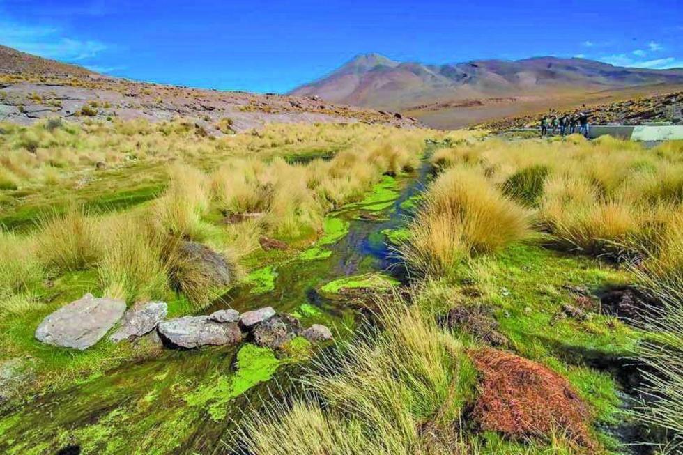 Los chilenos vendieron las aguas del Silala por 965 millones de dólares
