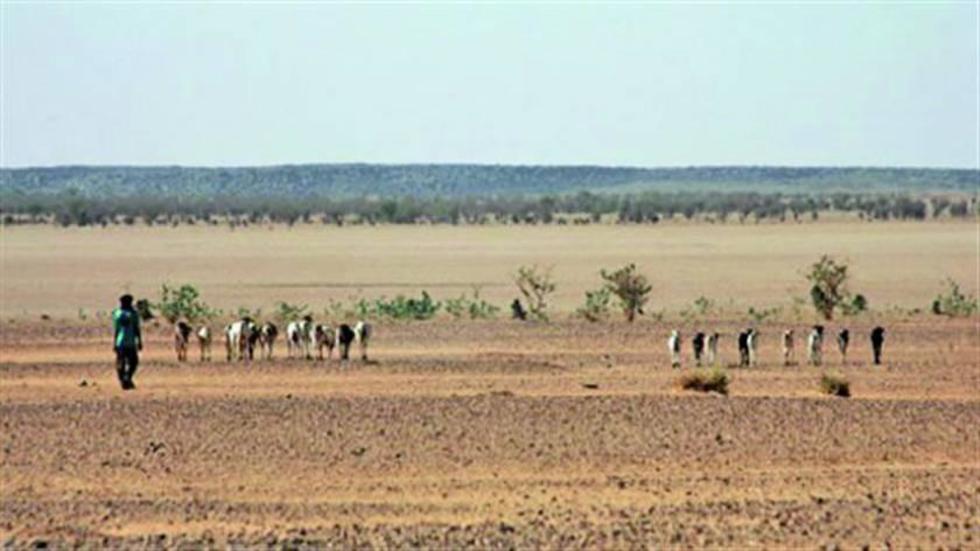 Más de 50 personas mueren de sed al cruzar desierto de Níger