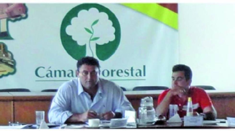 Descartan tala ilegal de madera en el norte del Departamento de La Paz