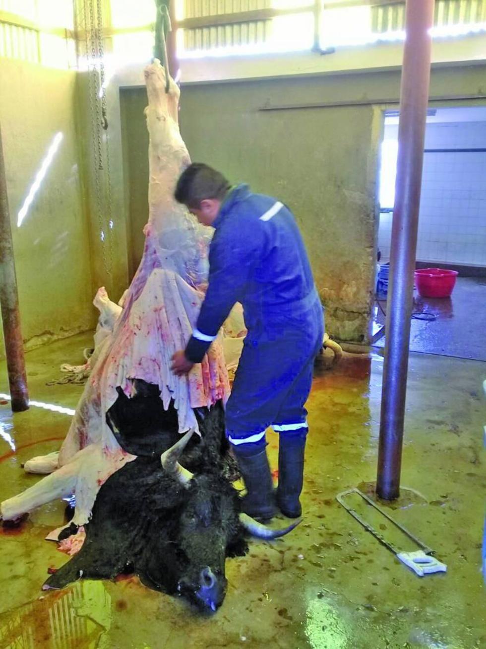 El Senasag interviene en un matadero ilegal en Porco