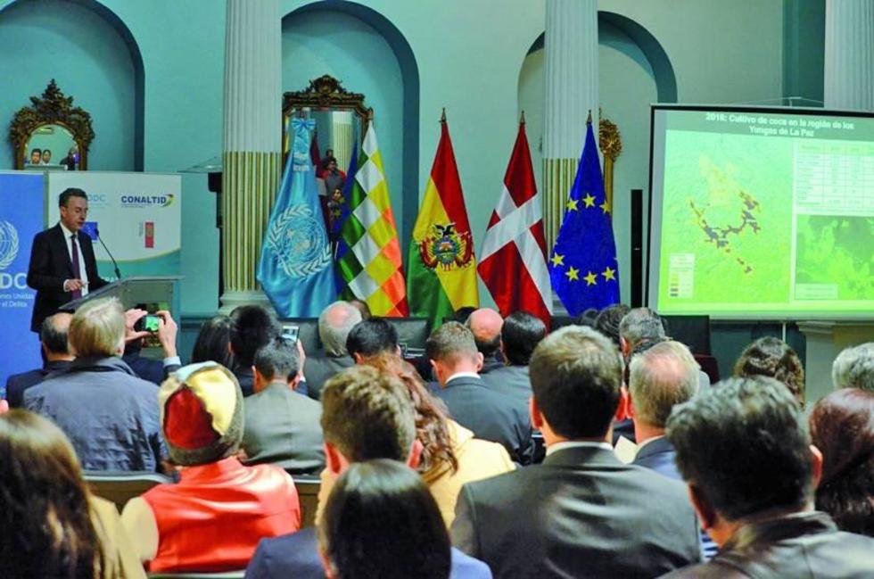 Solo 58 % de coca producida en el país llegó a mercados legales