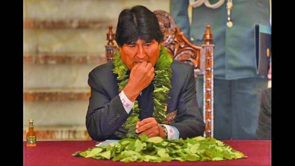 Evo dice que la ley asegura coca  de por vida para dos regiones