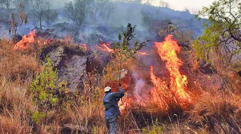 Un incendio afecta a la serranía de Sama en el Departamento de Tarija
