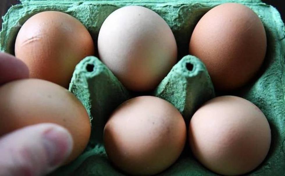 Escándalo de huevos contaminados afecta a 16 países europeos 