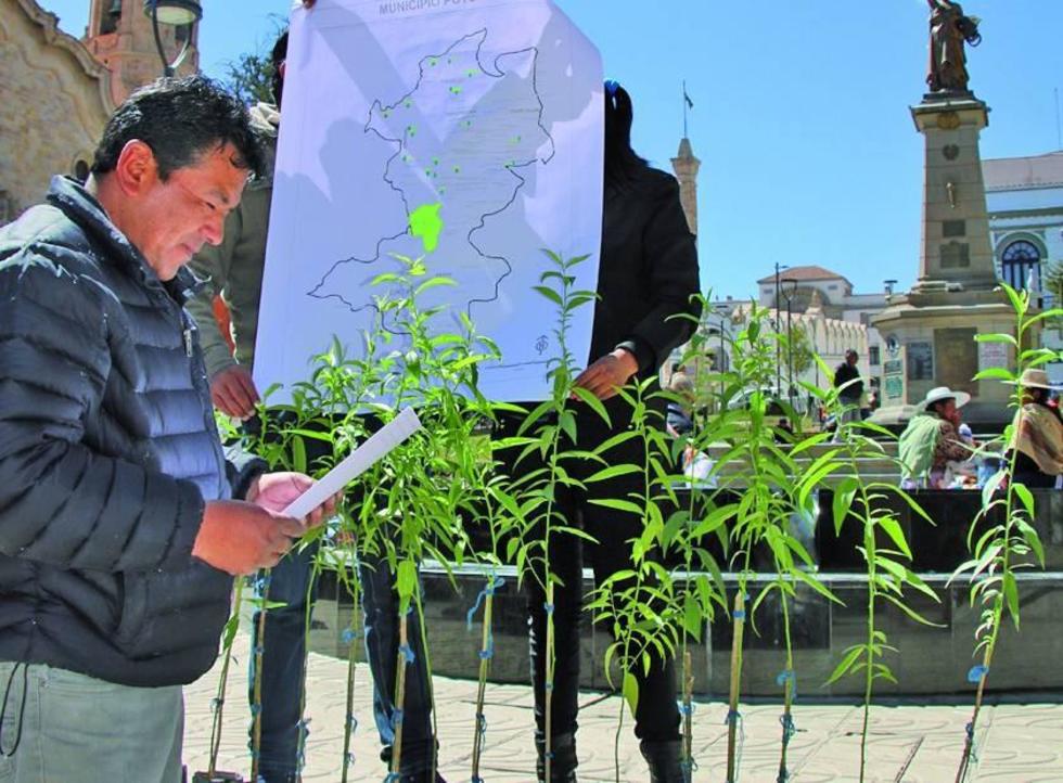 Presentan proyecto de árboles frutales para comunidades