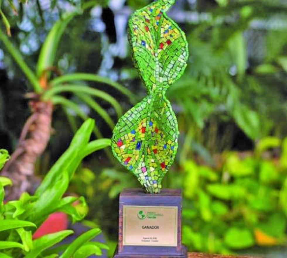 Bolivianos  ganan premio  por reciclaje  de llantas