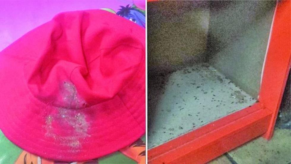 Denuncian presencia de roedores en una escuela de La Paz
