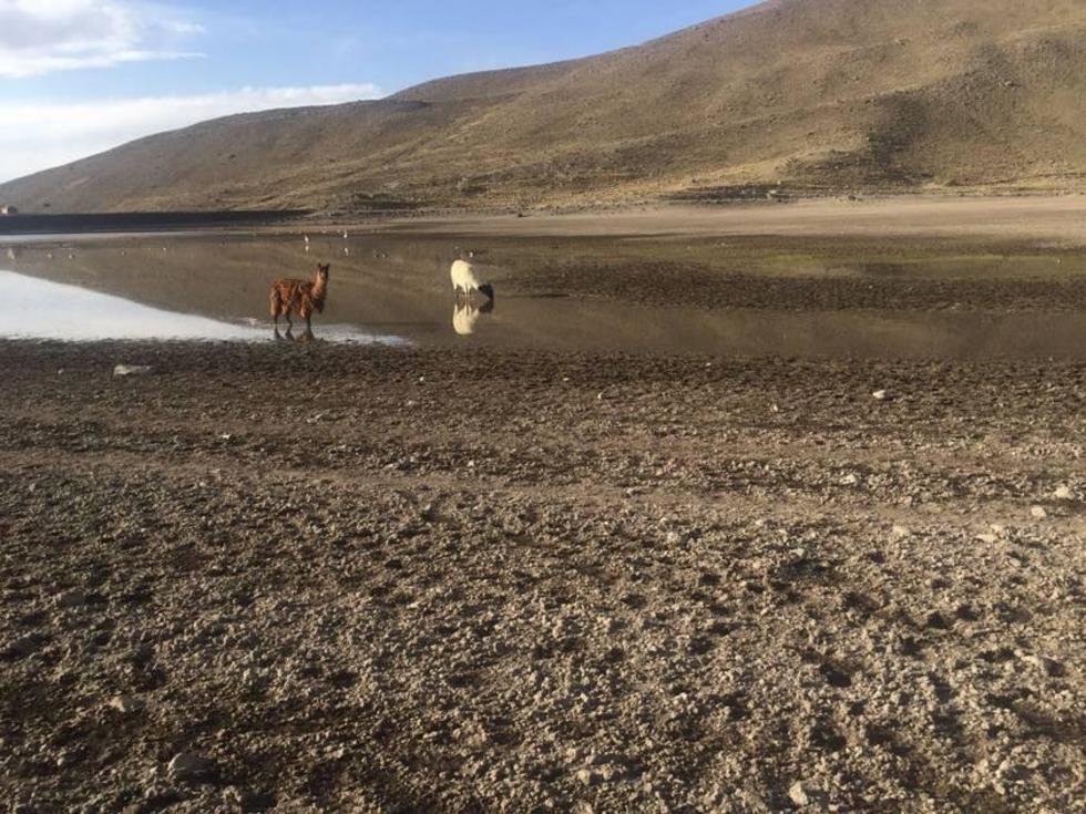 Resurge la polémica por reservas de agua en lagunas del Kari Kari