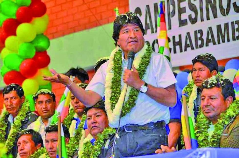 Cuestionan que el MAS acuda a la OEA para explicar la reelección