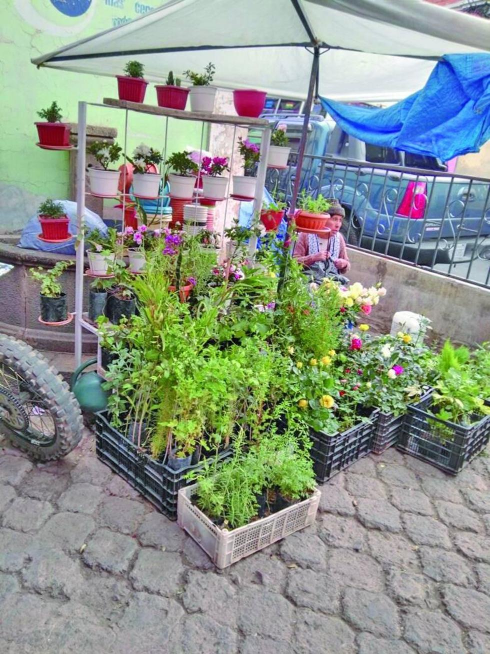 Comerciante ocupa un área destinado a los  peatones