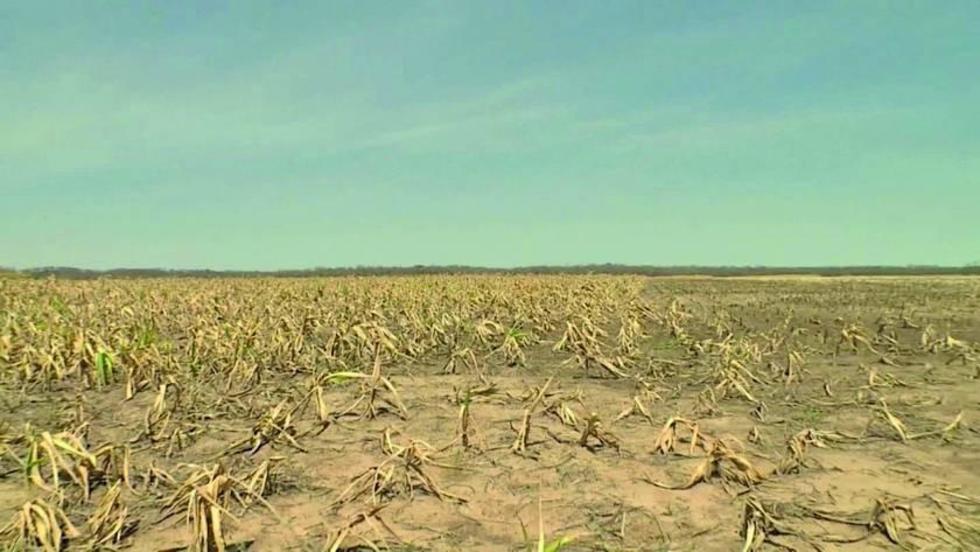 Declaran emergencia en los municipios por falta de agua